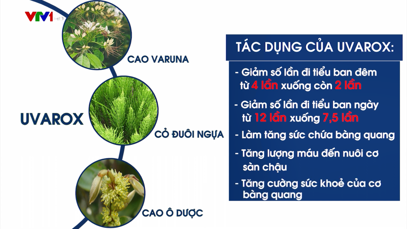 Tiểu đêm mất ngủ, tiểu ngày cả chục lần - Làm sao để cải thiện? - 5