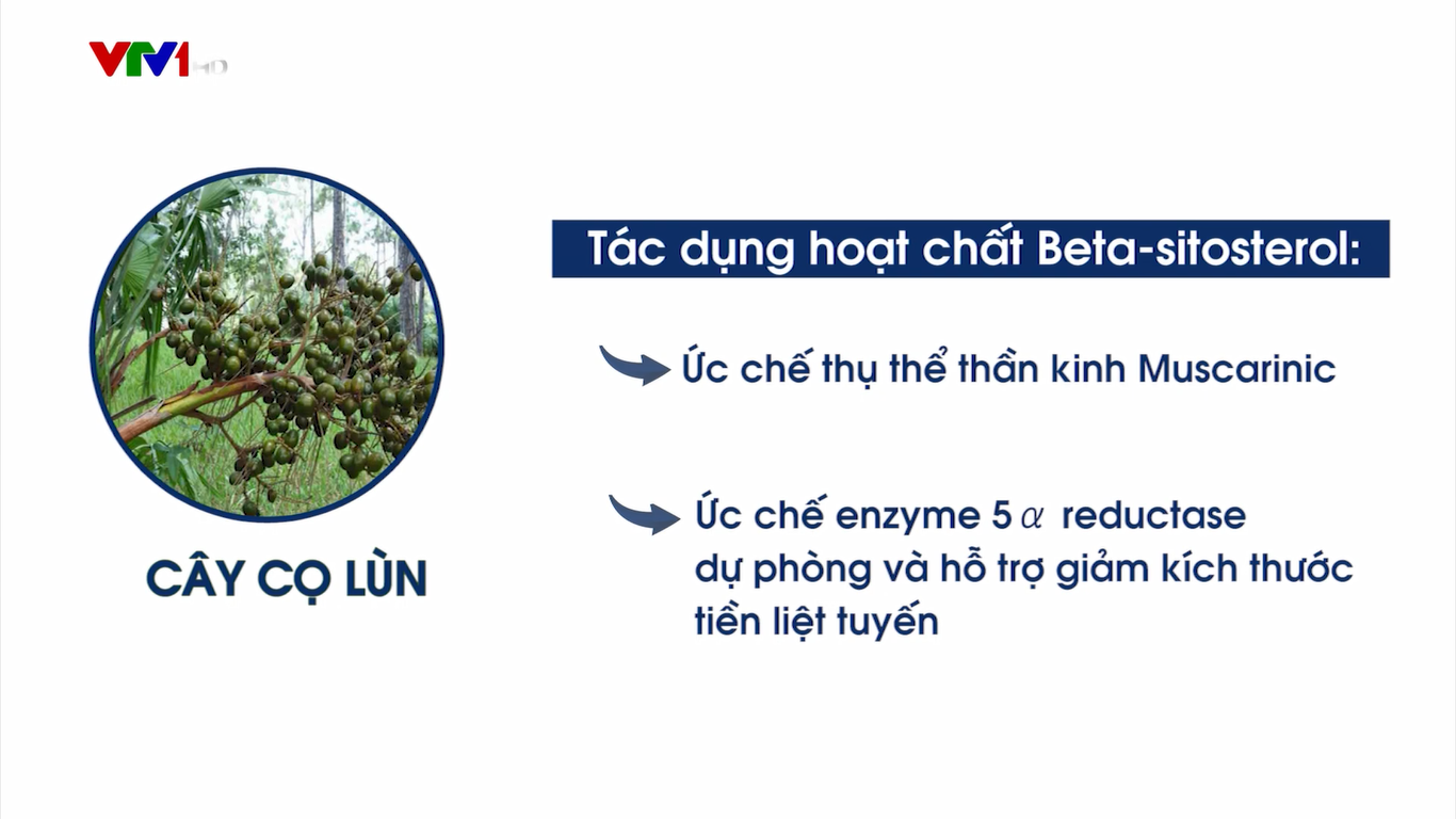 Tiểu đêm mất ngủ, tiểu ngày cả chục lần - Làm sao để cải thiện? - 4