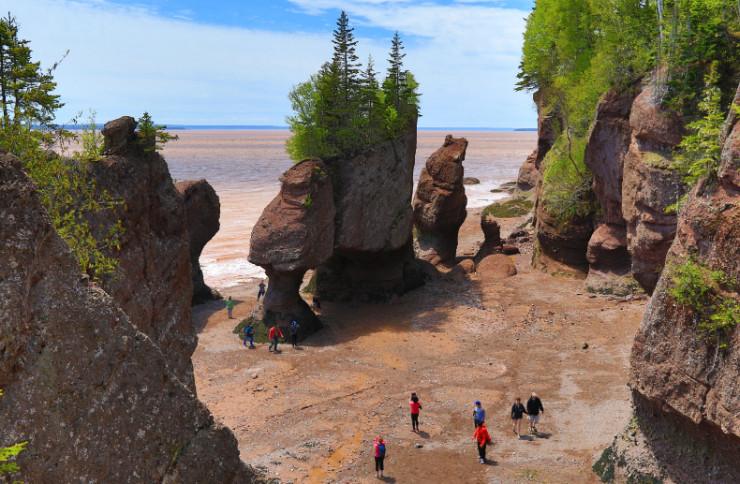 Khách du lịch đi dạo trên bãi biển khi thủy triều xuống tại Hopewell Rocks ở New Brunswick, Canada.&nbsp;Bờ biển nằm trên Vịnh Fundy, nơi có thủy triều cao nhất thế giới, khi nước rút&nbsp;có thể tìm thấy&nbsp;hóa thạch.