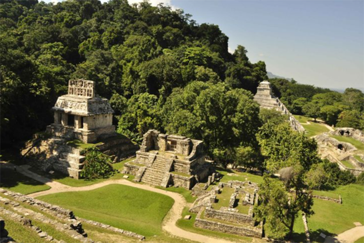 Đến gần hơn với nền văn hóa của người Maya bằng cách ghé thăm những ngôi đền ở Palenque, Mexico.
