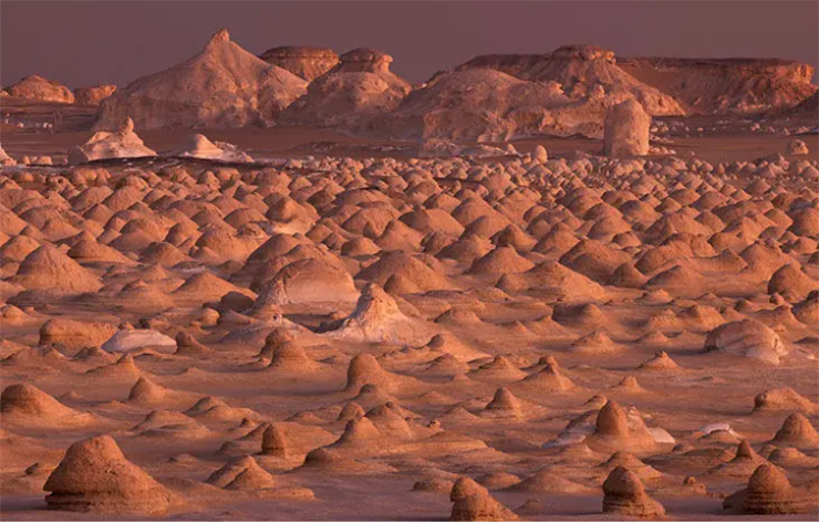 Cưỡi lạc đà đi bộ trên sa mạc trắng, Ai Cập.
