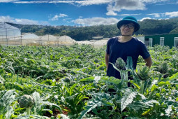 Loại hoa giá bán gần 100.000 đồng/bông, chị em vẫn đua nhau đặt mua