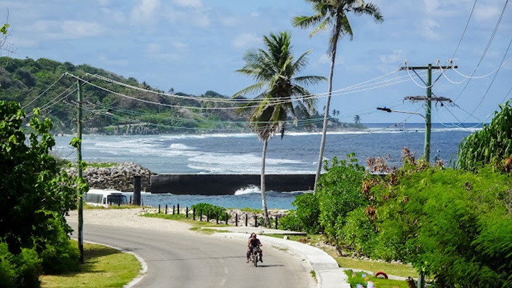 “Phân chim” trên đảo Nauru có tỷ lệ bao phủ 80% diện tích đảo, dày hơn 10 mét, chứa quặng phốt phát.
