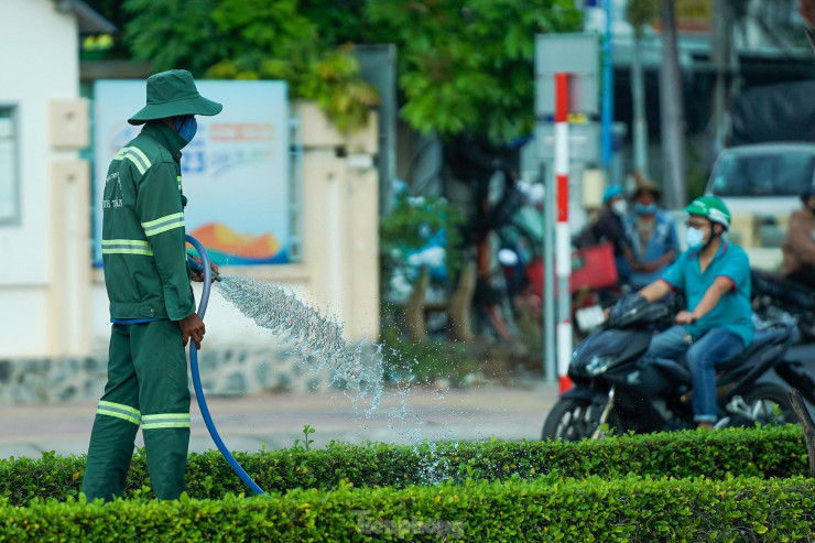 Đại lộ đẹp nhất Bình Thuận bị điều tra vì đền bù sai 45 tỷ đồng - 11