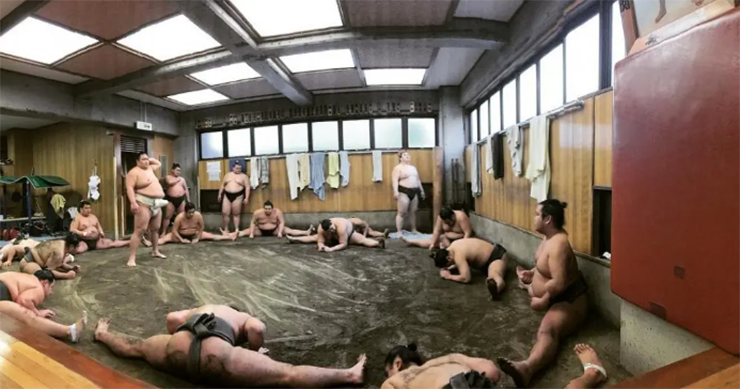 Xem các đô vật luyện tập tại Sumo Stable: Bạn có thể đến đây và tìm hiểu quá trình huấn luyện của những đô vật sumo giỏi nhất của Nhật. Đặt một chuyến thăm tại Hakkaku Sumo Stable để có một số trải nghiệm thực tế tốt nhất, nơi bạn thậm chí có thể được gặp gỡ và chụp ảnh với các đô vật.
