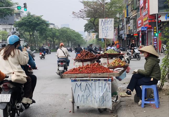 Thời gian này, trên các tuyến phố của Hà Nội như Xã Đàn, Hàng Khoai, Đồng Xuân, Phạm Ngọc Thạch, Tôn Thất Tùng… có thể dễ dàng bắt gặp xe chở các loại hoa quả đặc sản Sơn La như mận hậu, nhót xanh, dâu tây Hana.