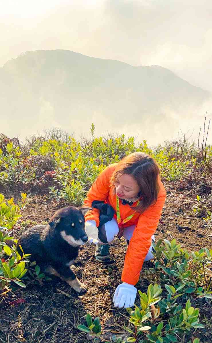 Trên đường xuống núi, du khách sẽ được hít thở không khí trong lành và lắng nghe những thanh âm của núi rừng.