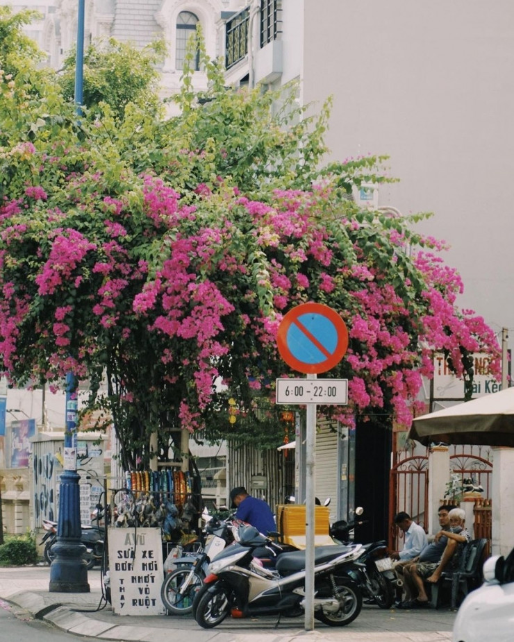 Check-in với bức tường hoa giấy siêu phẩm: Mộng mơ tựa "Hội An thu nhỏ" - 3