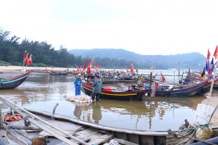 Từ sáng sớm, tại bến cá xóm Tiền Phong, xã Nghi Tiến, huyện Nghi Lộc, Nghệ An có hàng trăm chiếc thuyền nhỏ, thuyền thúng nối đuôi nhau cập bến, mang theo những thuyền đầy ắp cá trích. Dọc bờ biển, rất đông ngư dân đang hối hả gỡ những tấm lưới nặng trĩu cá trích để tiếp tục ra khơi.