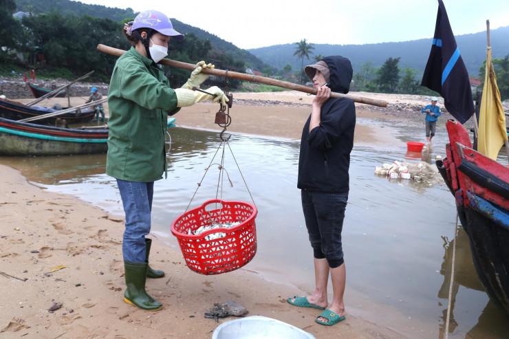 Mẻ cá trích tươi xanh được đánh bắt từ biển lên bán ngay tại bến.