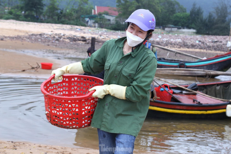 Với nhiều ngư dân, tuy cá trích có giá trị kinh tế không cao như các loại cá khác nhưng lợi thế là chỉ cần ghe công suất nhỏ, đánh bắt gần bờ. Nhất là ngư dân không có nhiều vốn cho những chuyến biển đánh bắt xa bờ thì cá trích chính là nguồn lợi mang lại thu nhập ổn định cho gia đình.