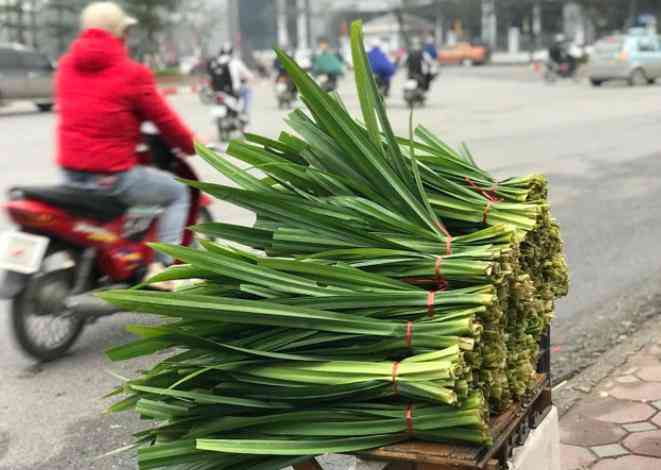 Loại cây dại mọc ở hàng rào xưa nhổ vứt đi, ngờ đâu giờ là đặc sản nổi tiếng được dân thành phố ưa chuộng, 150.000 đồng/kg - 2