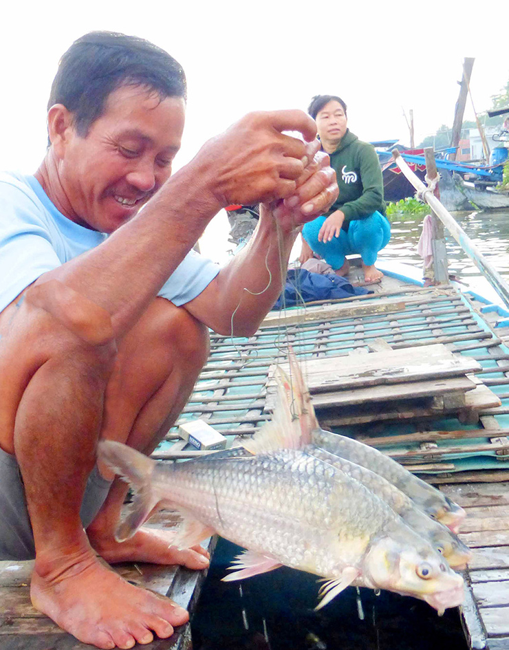 Một số trang thương mại điện tử và cửa hàng đặc sản miền Tây rao bán cá cóc với giá đắt đỏ, lên tới 450.000 đồng/kg
