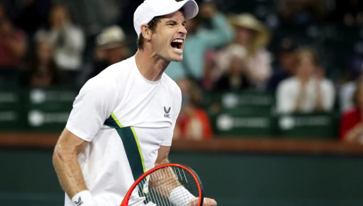 Andy Murray phát huy kinh nghiệm trong trận đấu với Radu Albot để giành vé đi tiếp