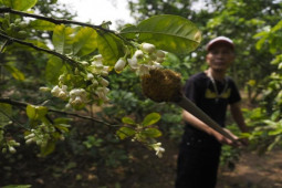 Những việc làm chân tay hốt bạc, mỗi ngày kiếm nửa triệu đồng