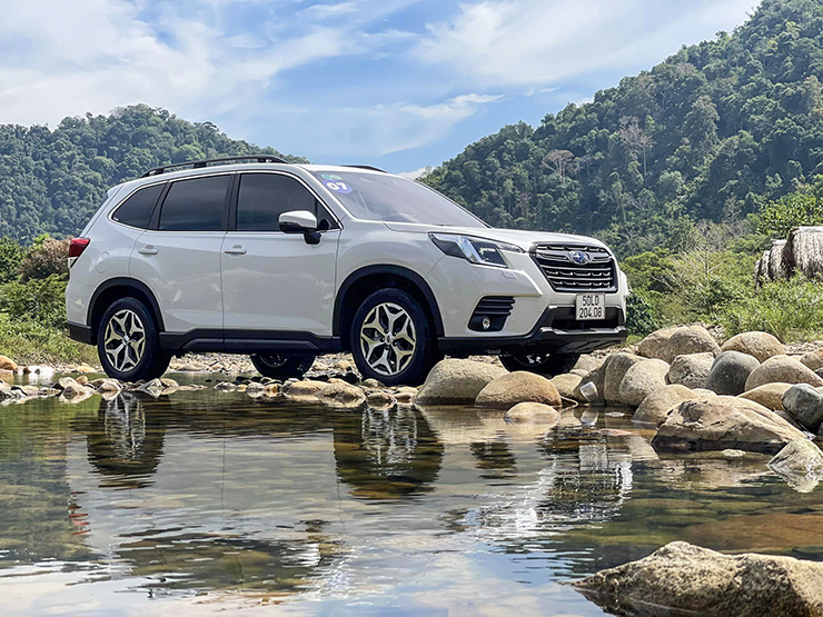 Trải nghiệm xe Subaru Forester trong hơn 600km đường đa địa hình - 6