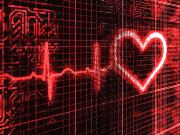 Người có nhịp tim nhanh hay chậm, ai sống lâu hơn? - 1