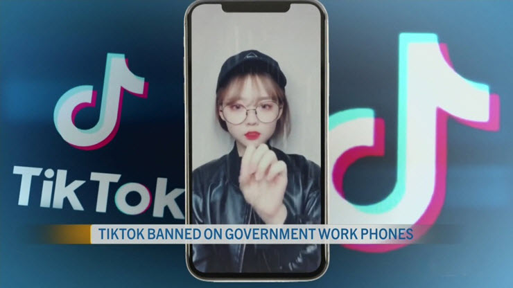 TikTok tiếp tục bị cấm ở Vương quốc Anh và New Zealand.