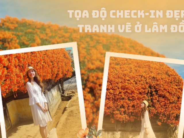 Tọa độ check-in tại Lâm Đồng: Ngôi nhà phủ đầy hoa xác pháo đẹp tựa như tranh vẽ