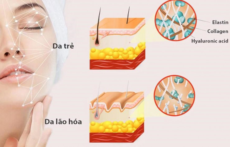 Chăm sóc da hằng ngày là biện pháp cần thiết để ngăn ngừa lão hóa da.