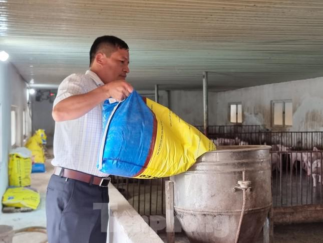 Ông Lê Minh Hiền cho biết, giá cám tăng cao khiến người chăn nuôi đang kiệt sức, lỗ nặng.