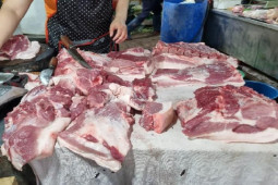 Lợn hơi giảm giá, người nuôi lỗ tiền triệu mỗi con nhưng giá thịt ngoài chợ vẫn cao