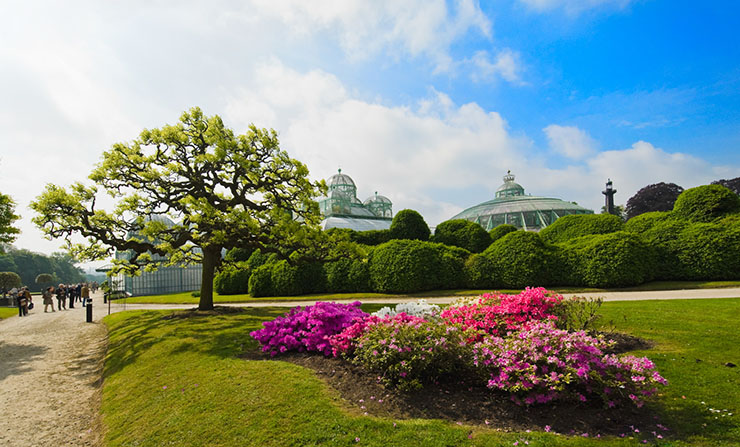 Royal Greenhouses of Laeken (Nhà kính Hoàng gia Laeken) là một nhà kính được đặt trong công viên Royal Palace of Brussels ở Bỉ.
