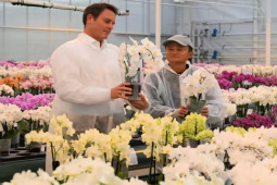 Báo Anh tiết lộ nơi ở của tỷ phú Jack Ma sau nhiều tháng vắng bóng