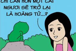 Chuyện tình "cảm lạnh" của hoàng tử ếch