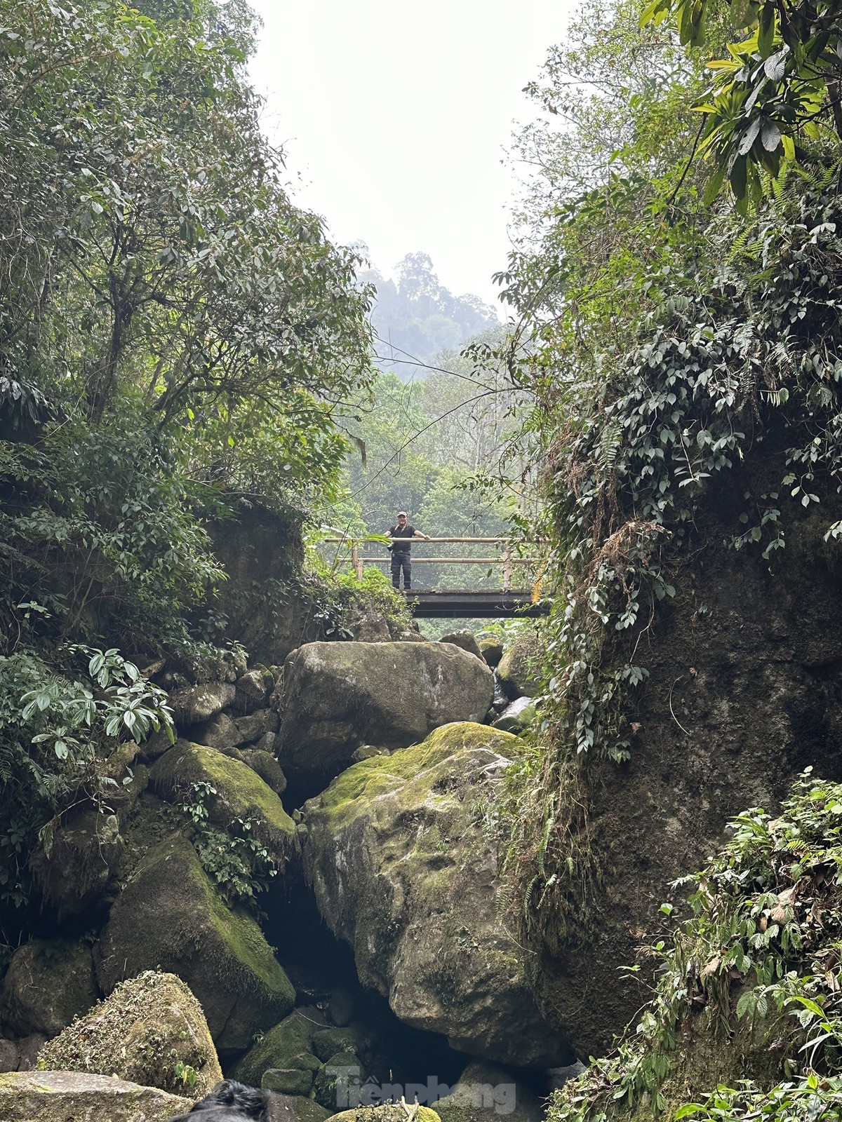 Sin Suối Hồ - &#39;Thiên đường trong mây&#39; ở Lai Châu - 14