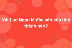 Cả nghìn người không thể trả lời đúng trọn bộ 15 câu hỏi này trong 10 phút