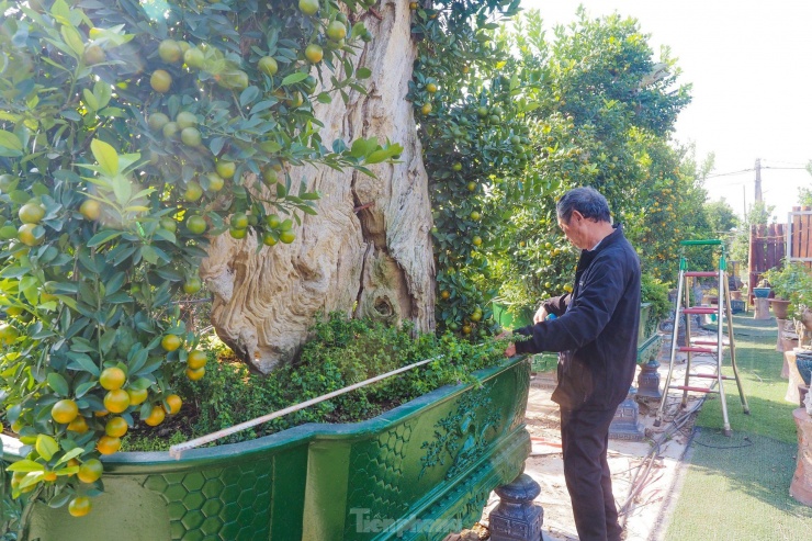 Để tạo ra được tác phẩm nghệ thuật này, đòi hỏi sự tỉ mẩn, chăm chút và bàn tay khéo léo của các nghệ nhân, do vậy giá trị của các chậu này cũng khá cao.