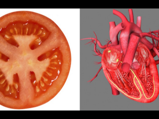 Điều bất ngờ khi ăn mỗi ngày một quả cà chua
