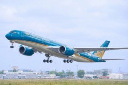 Cổ phiếu HVN của Vietnam Airlines bất ngờ tăng trần vì lý do gì?