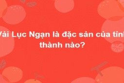 Cả nghìn người không thể trả lời đúng trọn bộ 15 câu hỏi này trong 10 phút