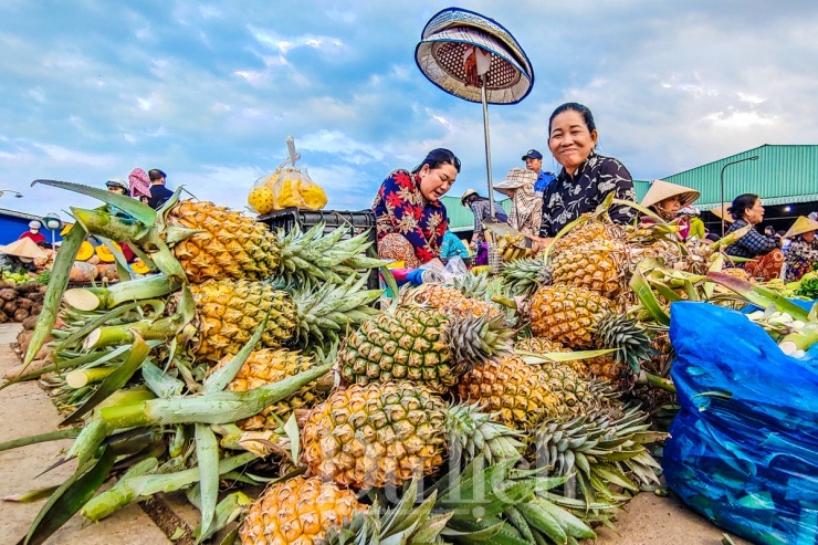 Vùng đất phèn Hậu Giang còn nổi tiếng với trái dứa (khóm Cầu Đúc) đặc sản xứ này.