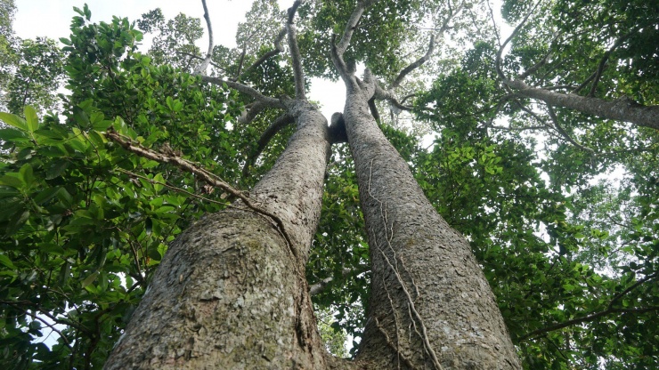 Năm 1994, Ao Bà Om được Bộ Văn hóa, Thông tin (nay là Bộ Văn hóa, Thể thao và Du lịch) công nhận là di tích lịch sử cấp quốc gia.