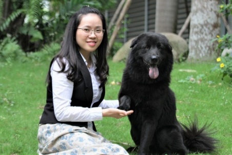 Chú chó có giá chuyển nhượng "khủng" nhất Việt Nam, được ví như "ngao Tây Tạng"