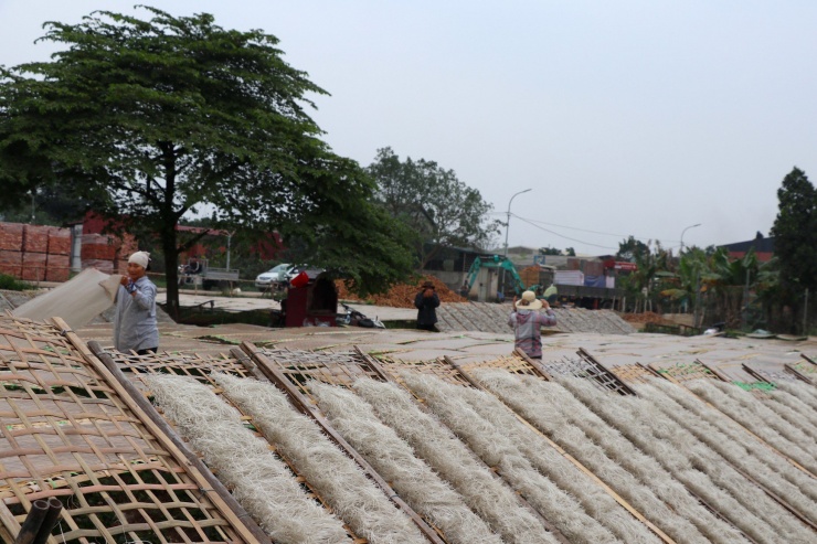 Chỉ còn hơn một tháng nữa là đến Tết nguyên đán, về làng nghề miến Dương Liễu vào những ngày này không khí vô cùng nhộn nhịp. Làng nghề miến dong tại đây vốn nổi tiếng từ rất lâu, các sản phẩm miến sản xuất được đưa đi tiêu thụ khắp cả nước.