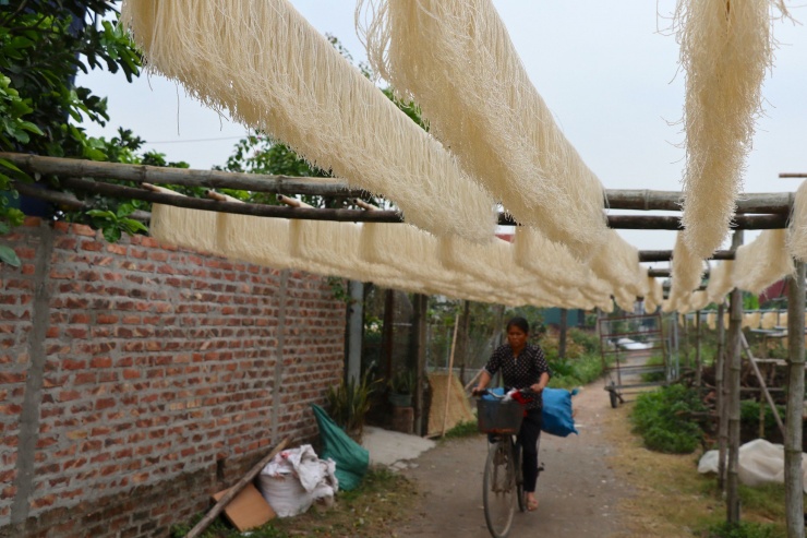 Người dân ở đây cho biết, những ngày cận Tết như thế này họ phải tăng công suất lên gấp 3 lần ngày thường, làm ngày đêm mới kịp cung ứng đủ miến cho thương lái.