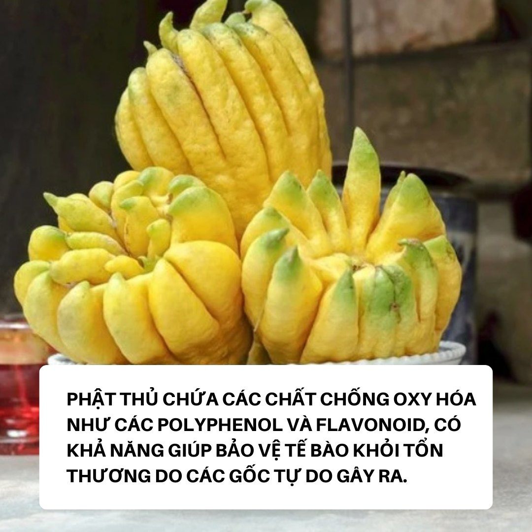 Loại quả được gọi là “tay Phật”, chuyên thờ Tết nhưng công dụng không phải ai cũng biết - 9