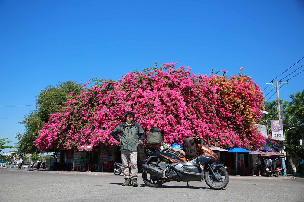 Vẻ đẹp "gây mê" của ngôi nhà hoa giấy "khổng lồ" ở Phan Thiết - 3