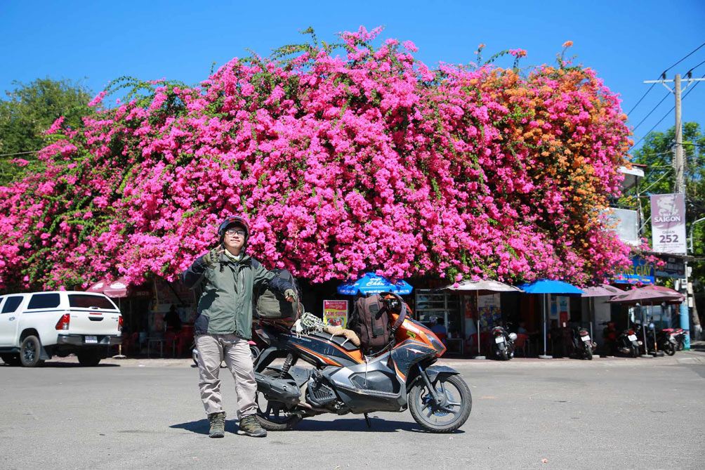 Vẻ đẹp "gây mê" của ngôi nhà hoa giấy "khổng lồ" ở Phan Thiết - 4