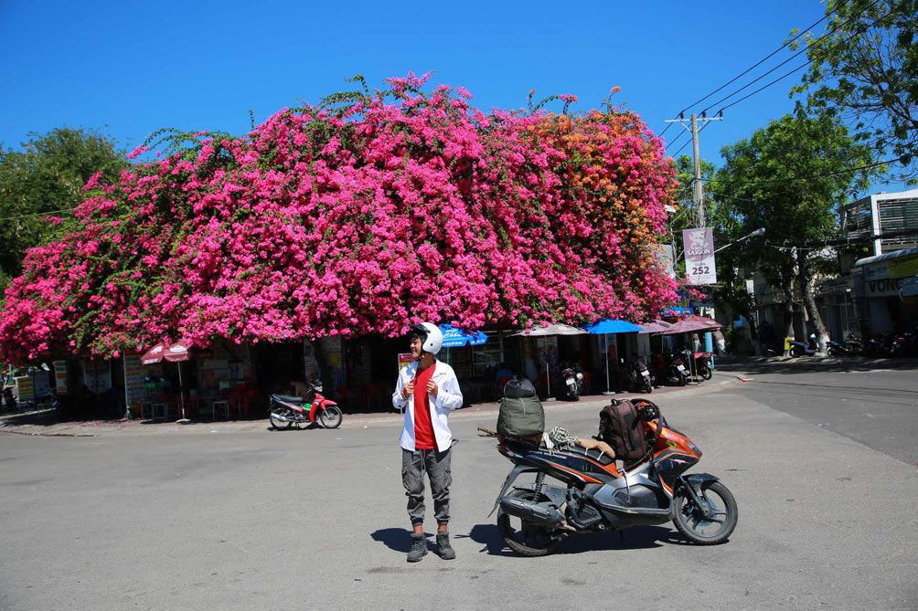 Vẻ đẹp "gây mê" của ngôi nhà hoa giấy "khổng lồ" ở Phan Thiết - 6