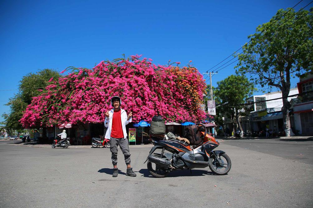 Vẻ đẹp "gây mê" của ngôi nhà hoa giấy "khổng lồ" ở Phan Thiết - 7