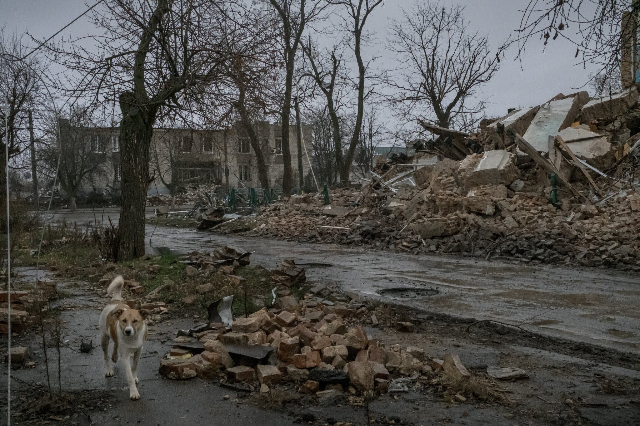 Cảnh hoang tàn ở thị trấn Orikhiv, Ukraine. Ảnh: New York Times