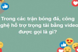 Có cả bể kiến thức mới trả lời đúng  bộ câu hỏi “khó nhằn“ này