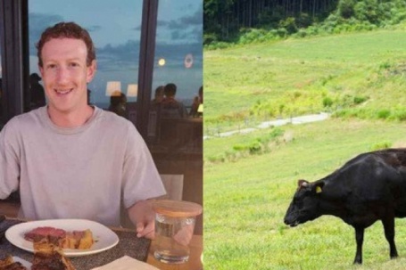 Tỷ phú Mark Zuckerberg chăn nuôi gia súc ở đảo Hawaii