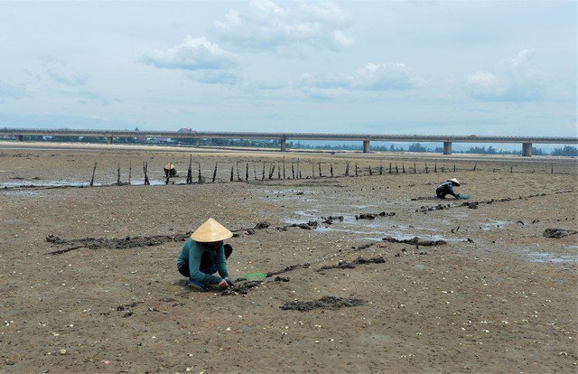 Cũng như bao nhiêu người lao động khác, những ngày cận Tết, những phụ nữ miền biển Cẩm Xuyên lại miệt mài, tất tả mưu sinh. Bà con nơi đây luôn mong mưa thuận gió hòa, “lộc biển” ngày càng nhiều để cuộc sống bớt nhọc nhằn.