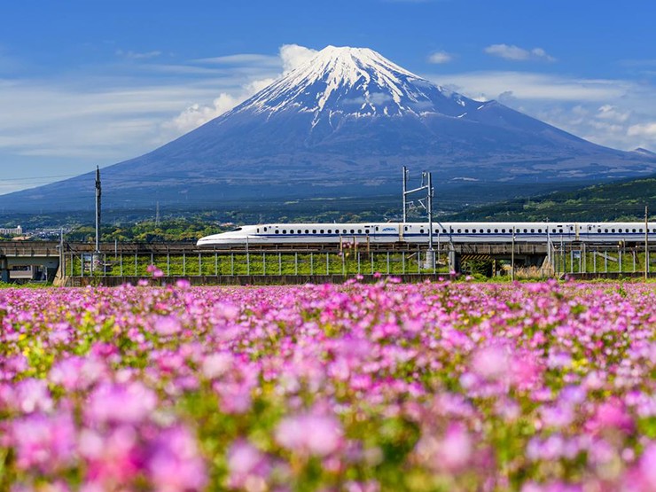 Chuyến tàu Shinkansen xuyên quốc gia: Đây là chuyến tàu mang sứ mệnh khám phá khắp đất nước, từ ga Shin-Hakodate xuất phát từ&nbsp;Hokkaido ở cực bắc đất nước&nbsp;đến ga cuối phía nam ở Kagoshima. Hành trình kéo dài 13 giờ, đạt tốc độ lên tới 320km/h, mang đến cơ hội hiếm có để du khách có thể quan sát các vùng nông thôn Nhật Bản.&nbsp;
